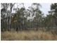 Ryeford QLD 4361