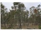 Ryeford QLD 4361