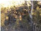 Rodgers Creek QLD 4370