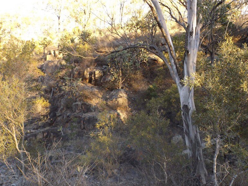 Rodgers Creek QLD 4370
