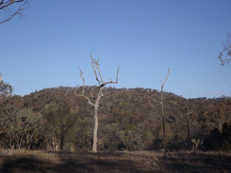 Rodgers Creek QLD 4370
