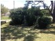 7 Weewondilla Road, Warwick QLD 4370