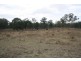 351 Montrose Lane, Greymare QLD 4370