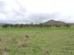 Lot 155 Frees Road, Goomburra QLD 4362