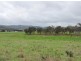 Lot 155 Frees Road, Goomburra QLD 4362