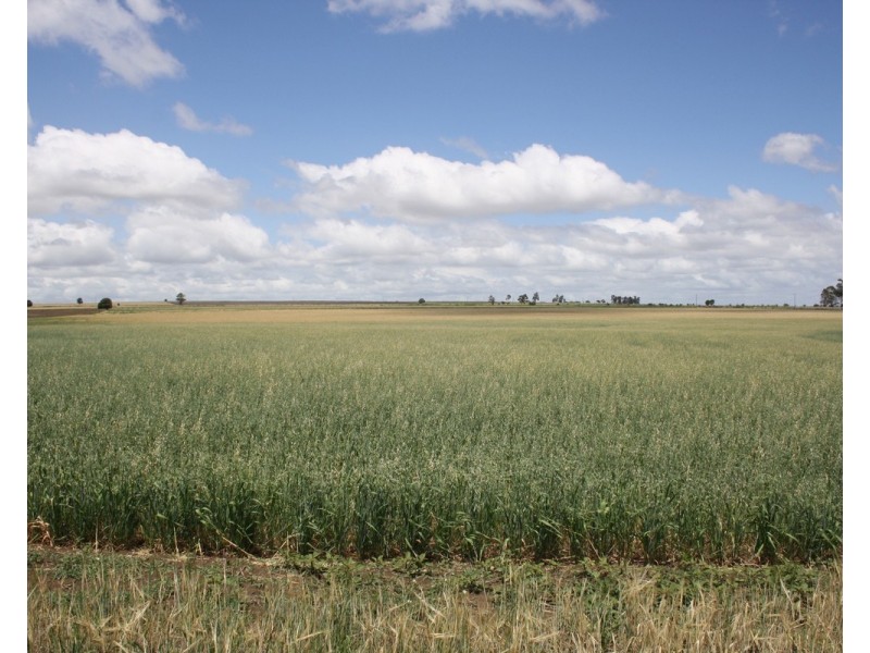 40 Ipomea St, Emu Vale QLD 4371