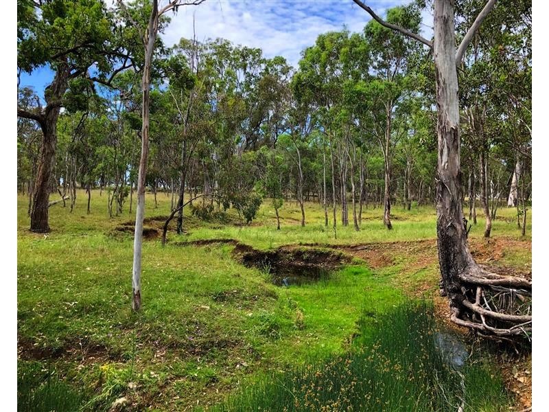 643 Odeas Road, Elbow Valley QLD 4370