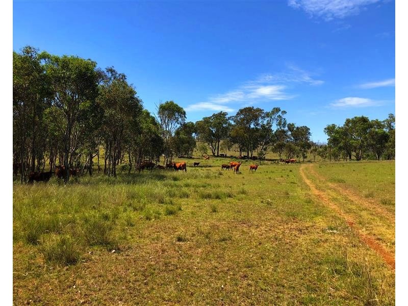 643 Odeas Road, Elbow Valley QLD 4370