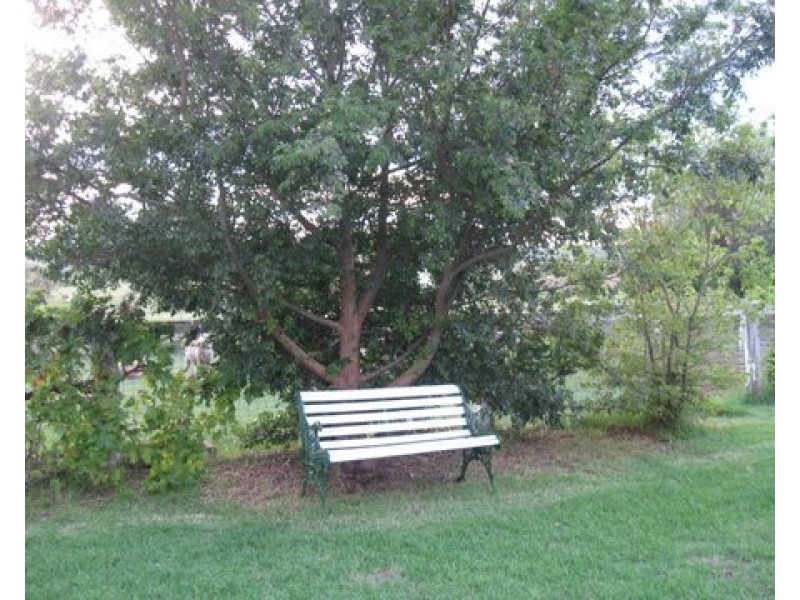 317 Forest Plain Rd, Allora QLD 4362