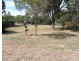 10 Horsman Rd, Warwick QLD 4370