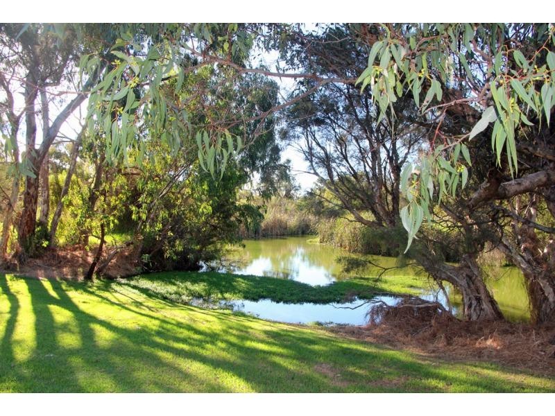 61/20 Ellerby St, Glendalough WA 6016