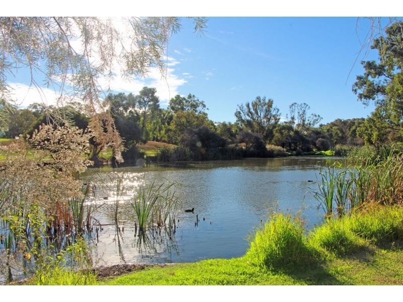 61/20 Ellerby St, Glendalough WA 6016