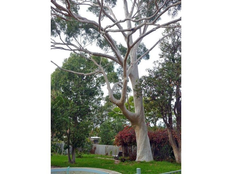 2 Stanley Street, Nedlands WA 6009