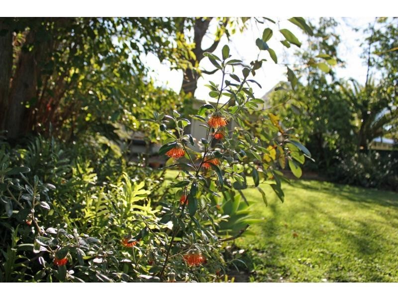 6 Ord Street, Nedlands WA 6009