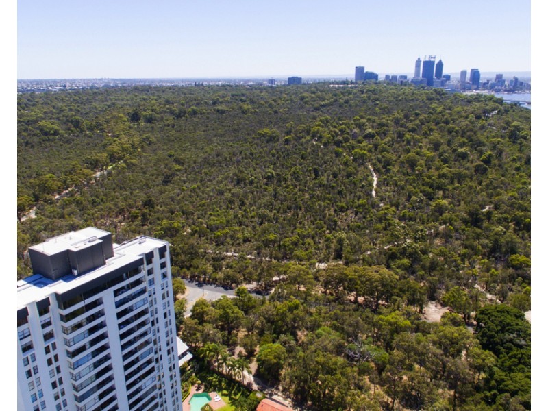 SkyEast/16 Kings Park Ave, Crawley WA 6009