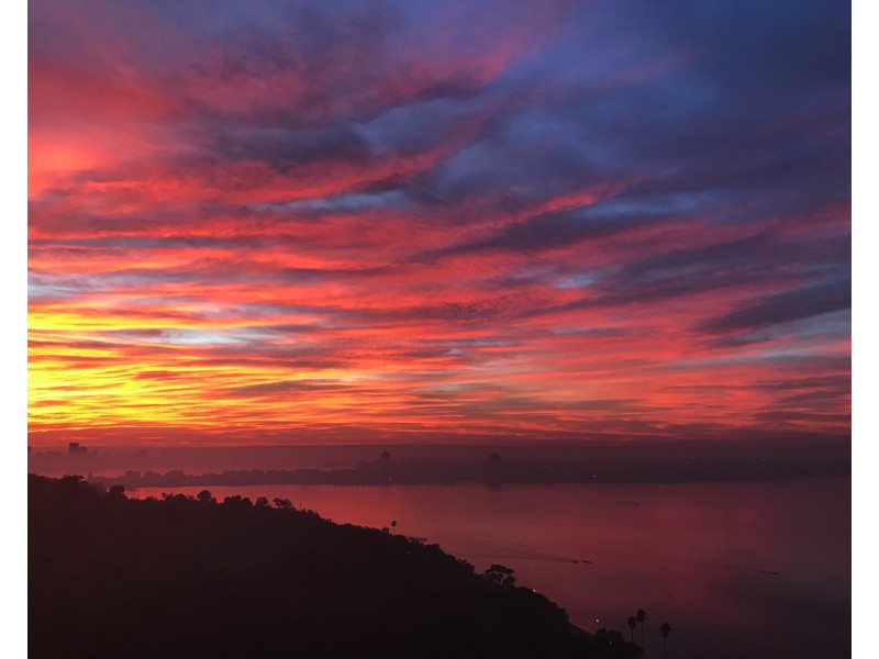 SkyEast/16 Kings Park Ave, Crawley WA 6009