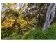 169 Glendale Road, Glendale QLD 4711