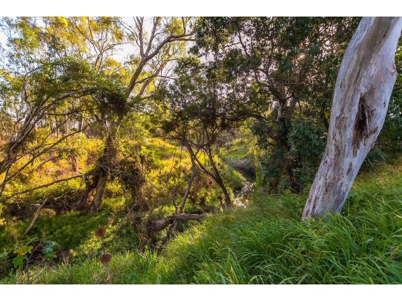 169 Glendale Road, Glendale QLD 4711