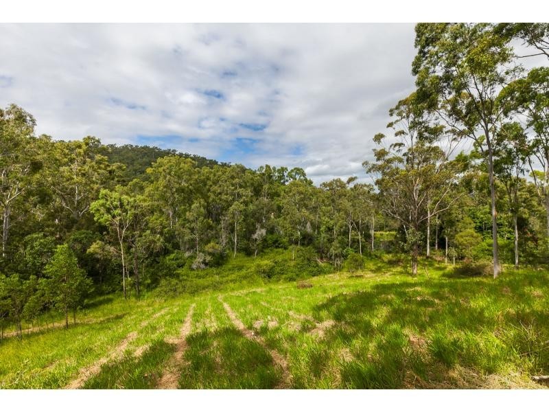 95 Warcons Road, Cawarral QLD 4702