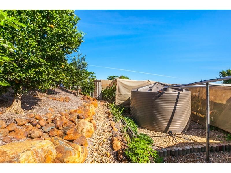 100 Perrott Drive, Rockyview QLD 4701