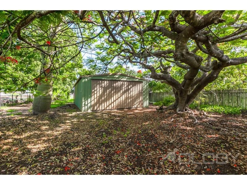 14 Lauga Street, Park Avenue QLD 4701