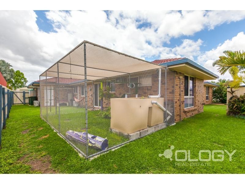 82 Carara Drive, Kawana QLD 4701