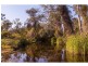 287 Brickworks Road, Stanwell QLD 4702