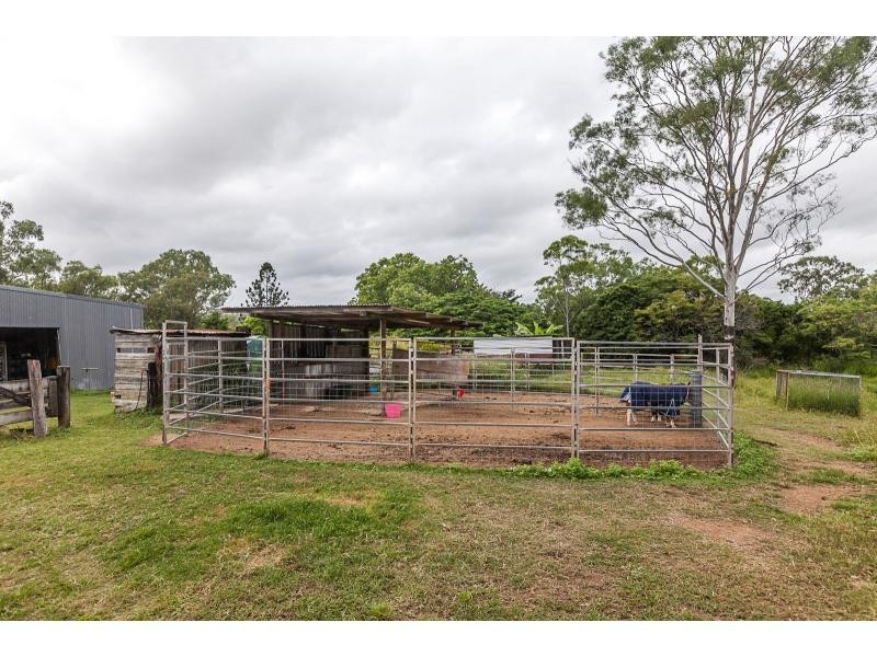 73 Nerimbera School Road, Nerimbera QLD 4701