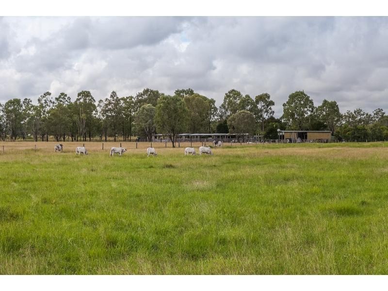 64930 Bruce Highway, Yaamba QLD 4704