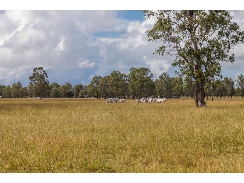 64930 Bruce Highway, Yaamba QLD 4704