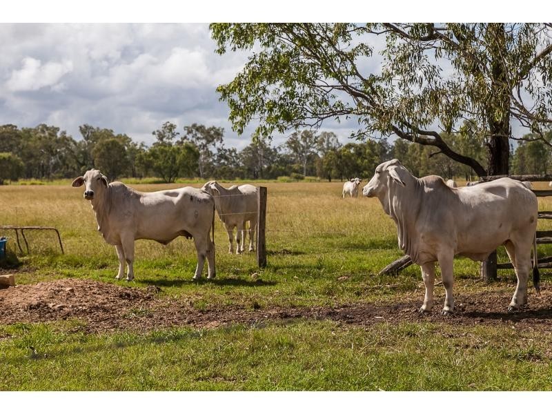 64930 Bruce Highway, Yaamba QLD 4704