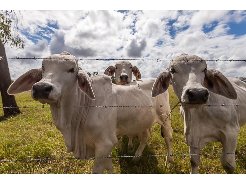 64930 Bruce Highway, Yaamba QLD 4704