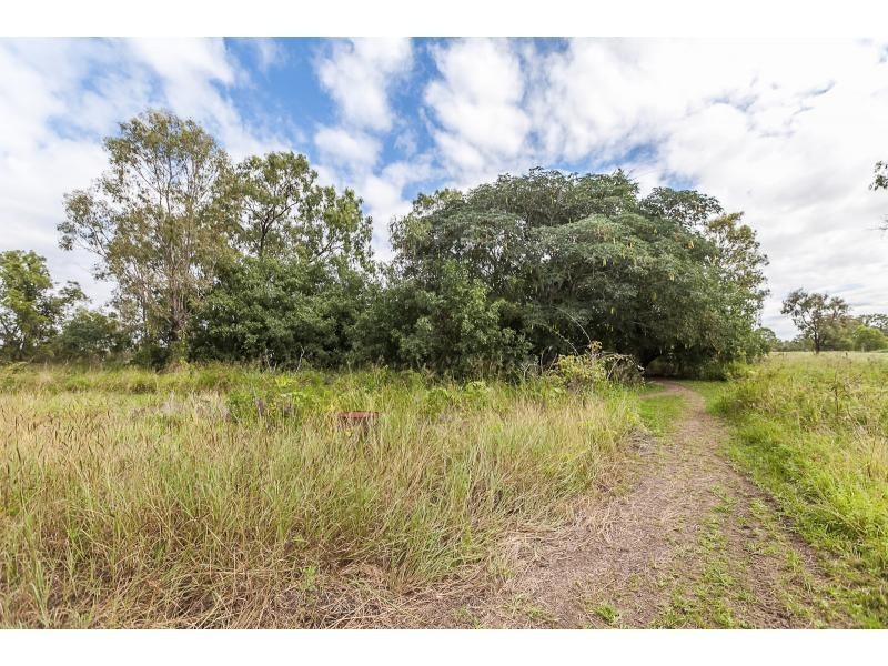 8 Pink Lily Street, Pink Lily QLD 4702