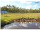 Oakhurst QLD 4650