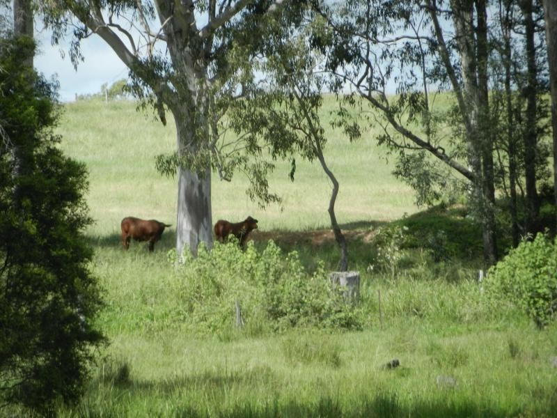 85 Pioneers Rest Road, Pioneers Rest, Maryborough QLD 4650