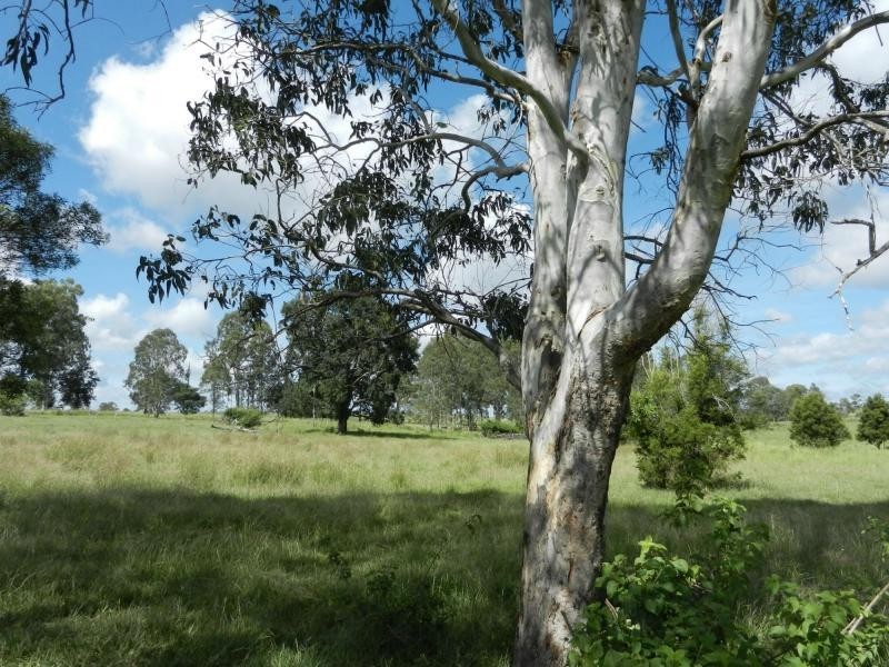 85 Pioneers Rest Road, Pioneers Rest, Maryborough QLD 4650