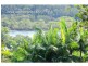 25 Thrower Drive, Currumbin QLD 4223
