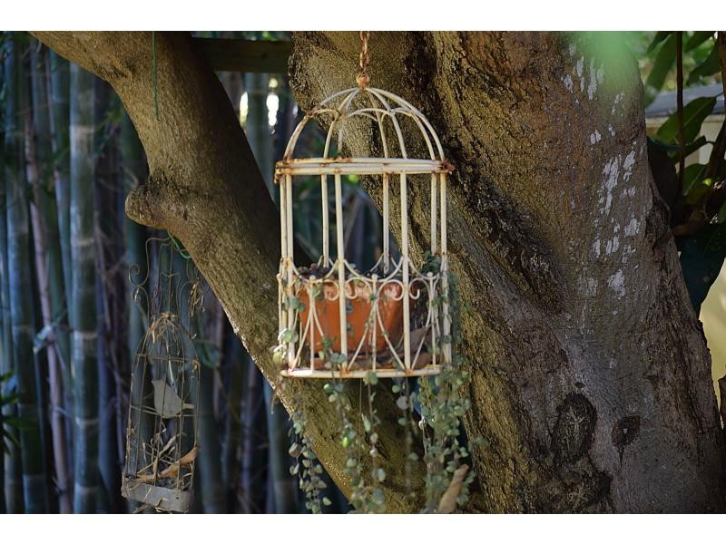 5 Star Avenue, Mermaid Beach QLD 4218