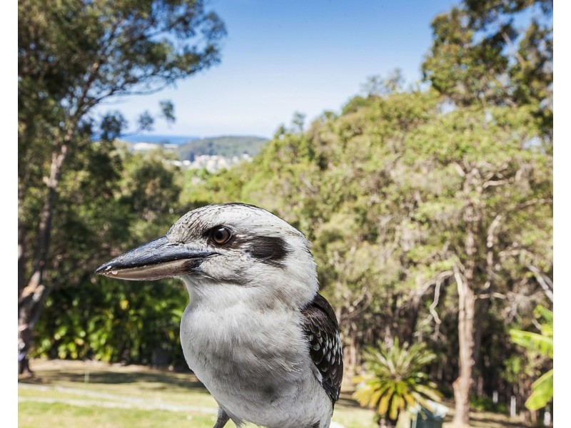 152 – 154 Simpsons Road, Currumbin Waters QLD 4223