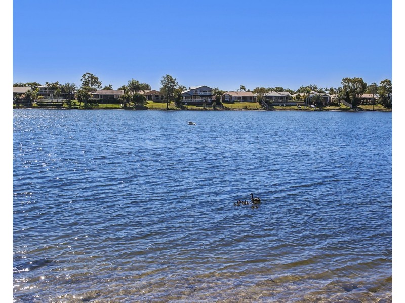 53 Wedgebill Parade, Burleigh Waters QLD 4220