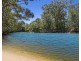 4 Cockatiel Place, Currumbin Waters QLD 4223
