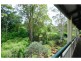 11 Wisteria Court, Tallebudgera Valley QLD 4228