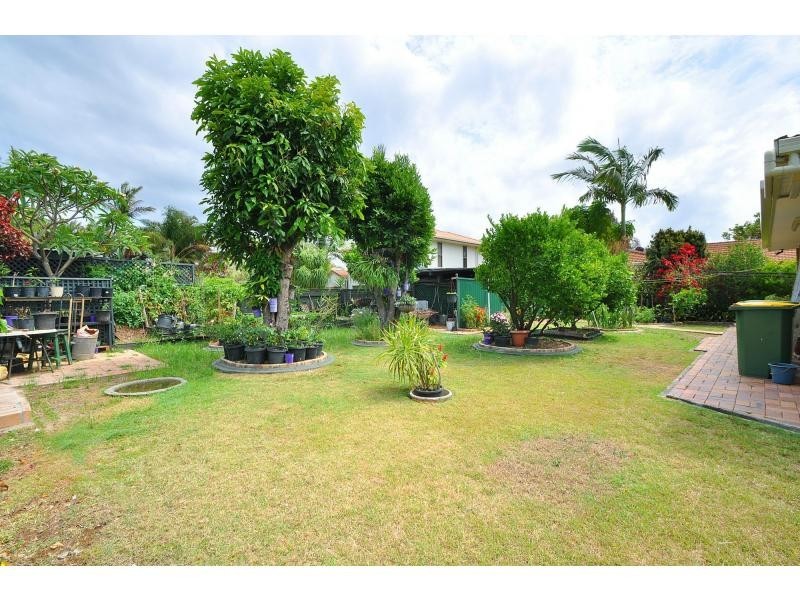 42 Razorbill Street, Burleigh Waters QLD 4220