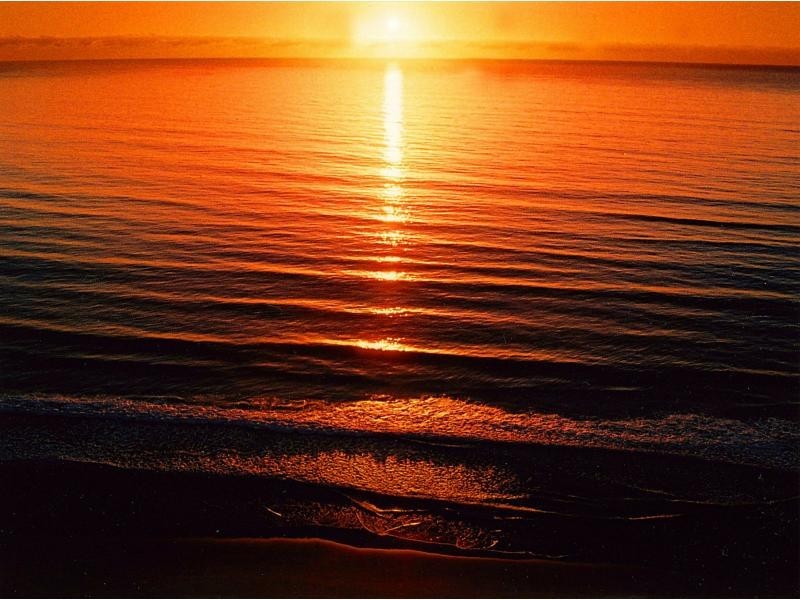 51/146 The Esplanade, Burleigh Heads QLD 4220