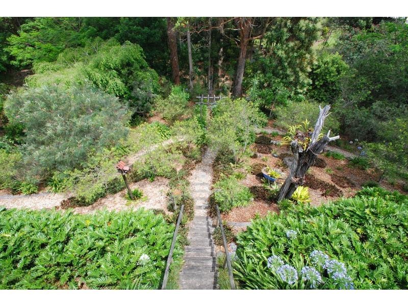 11 Wisteria Court, Tallebudgera Valley QLD 4228