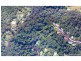 38 Wattlebird Court, Currumbin Valley QLD 4223