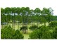 Sanctuary Cove QLD 4212