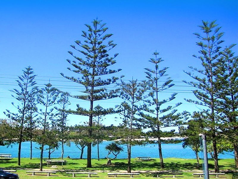 1/13 Awoonga Avenue, Burleigh Heads QLD 4220