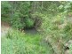 Lot 302 Wongaree Way, Currumbin Valley QLD 4223