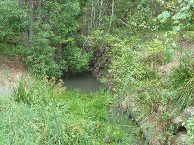 Lot 302 Wongaree Way, Currumbin Valley QLD 4223